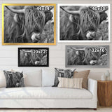 Scottish Cow On Moorland II