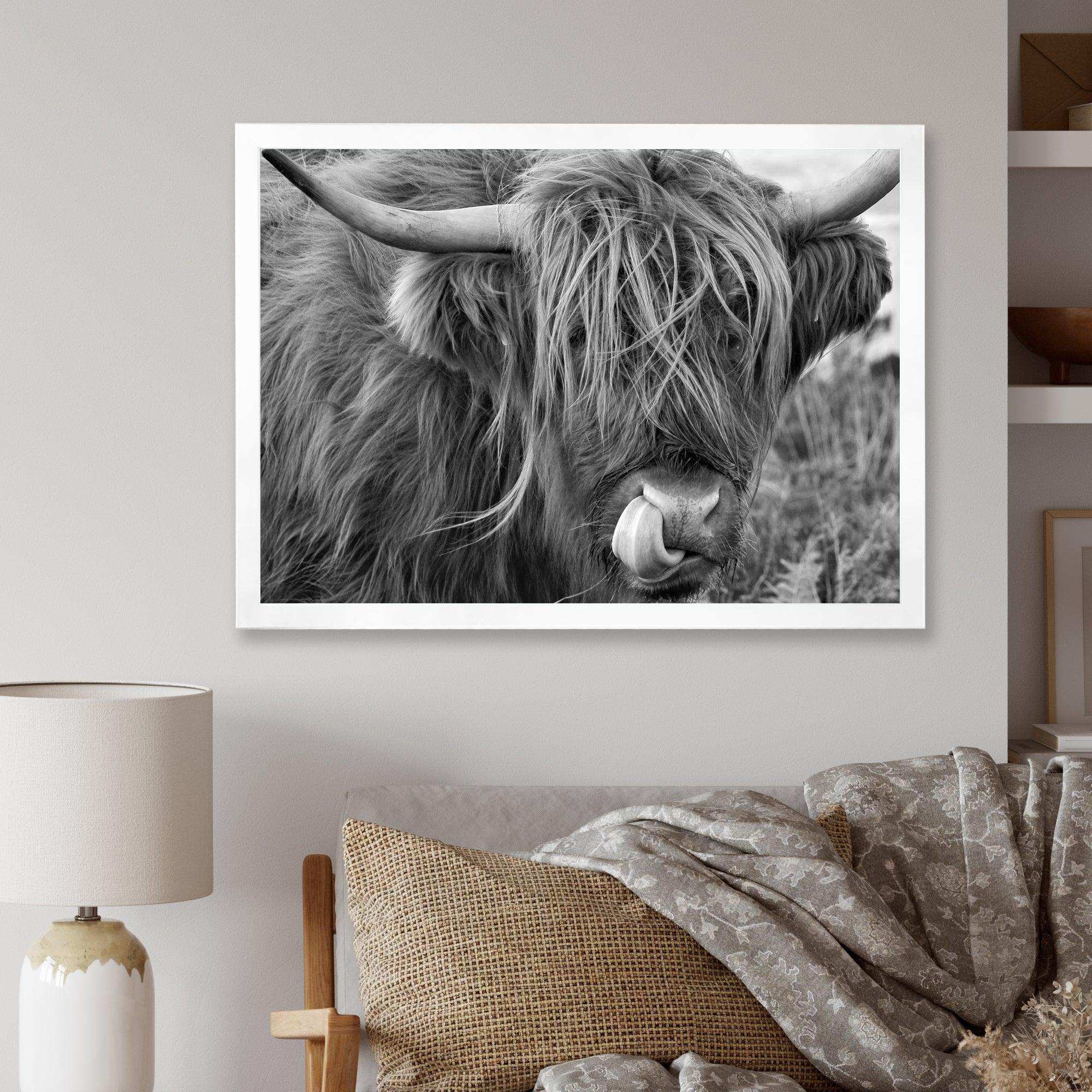 Scottish Cow On Moorland II