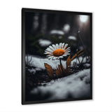 A Blooming Orange Daisy Flower In Winter I Framed Print Vibrant Black - 1.5Width