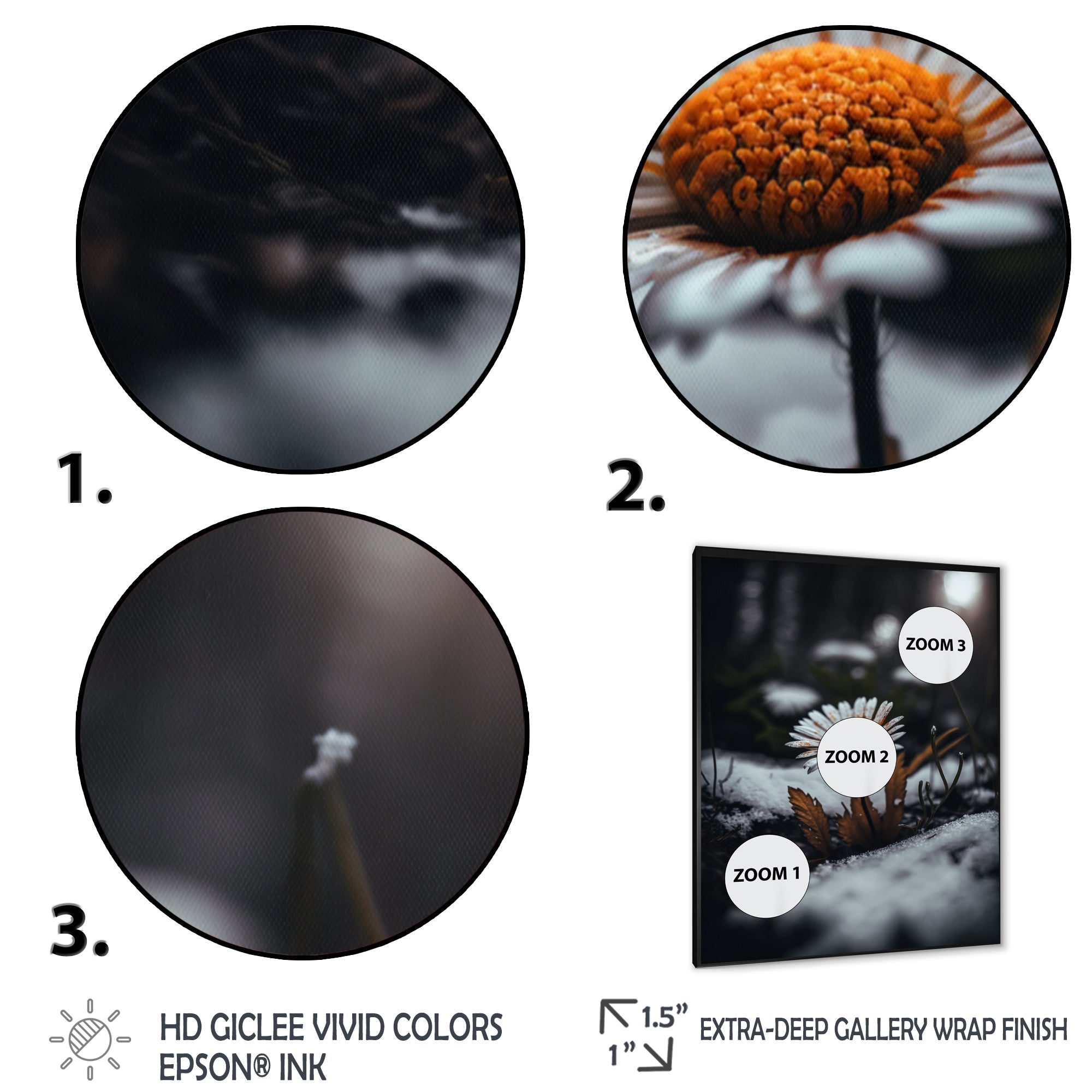 A Blooming Orange Daisy Flower In Winter I Framed Print Vibrant Black - 1.5Width