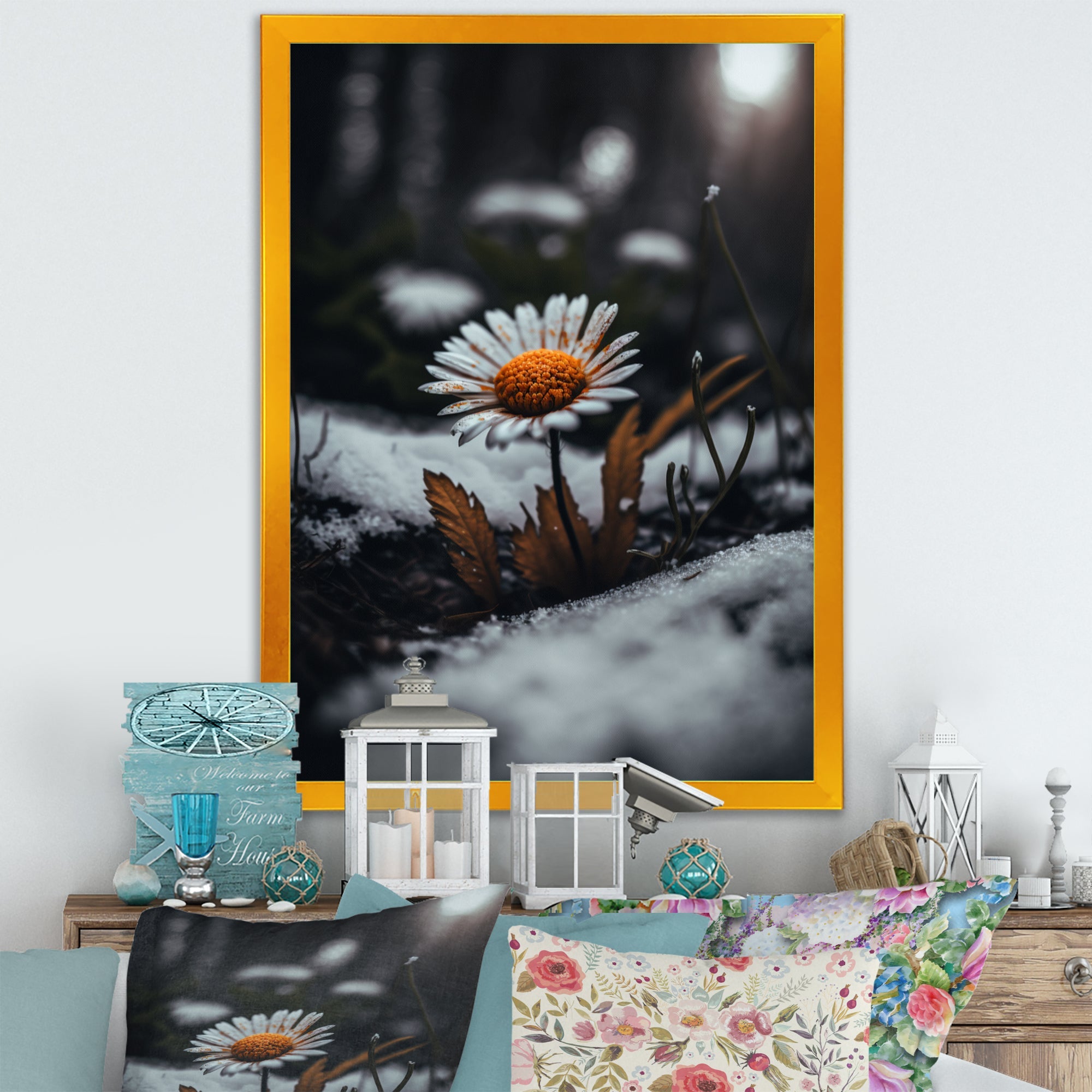 A Blooming Orange Daisy Flower In Winter I Framed Canvas Vibrant Black - 1.5Thick