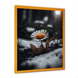 A Blooming Orange Daisy Flower In Winter I Framed Print Vibrant Gold - 1.5Width