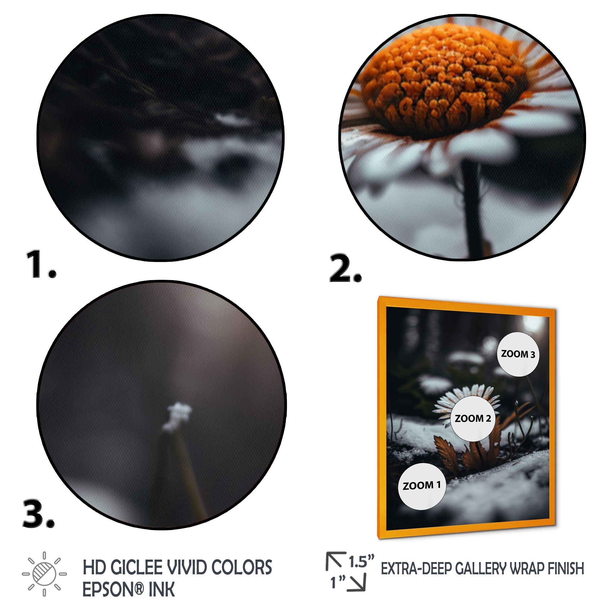 A Blooming Orange Daisy Flower In Winter I Framed Print Vibrant Gold - 1.5Width