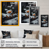 A Blooming Orange Daisy Flower In Winter I Framed Print Vibrant Gold - 1.5Width