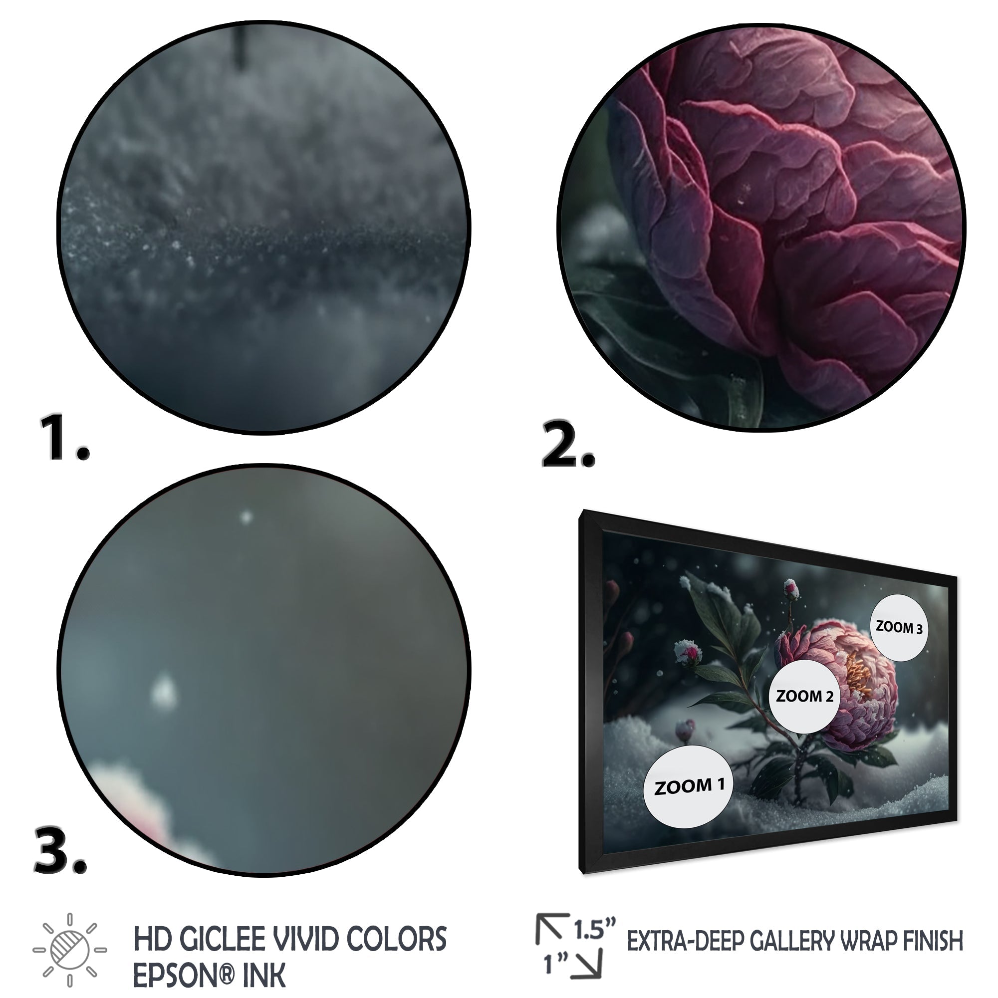 A Blooming Pink Peony Flower In Winter III Framed Print Vibrant Black - 1.5Width