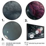 A Blooming Pink Peony Flower In Winter III Framed Print Vibrant Black - 1.5Width