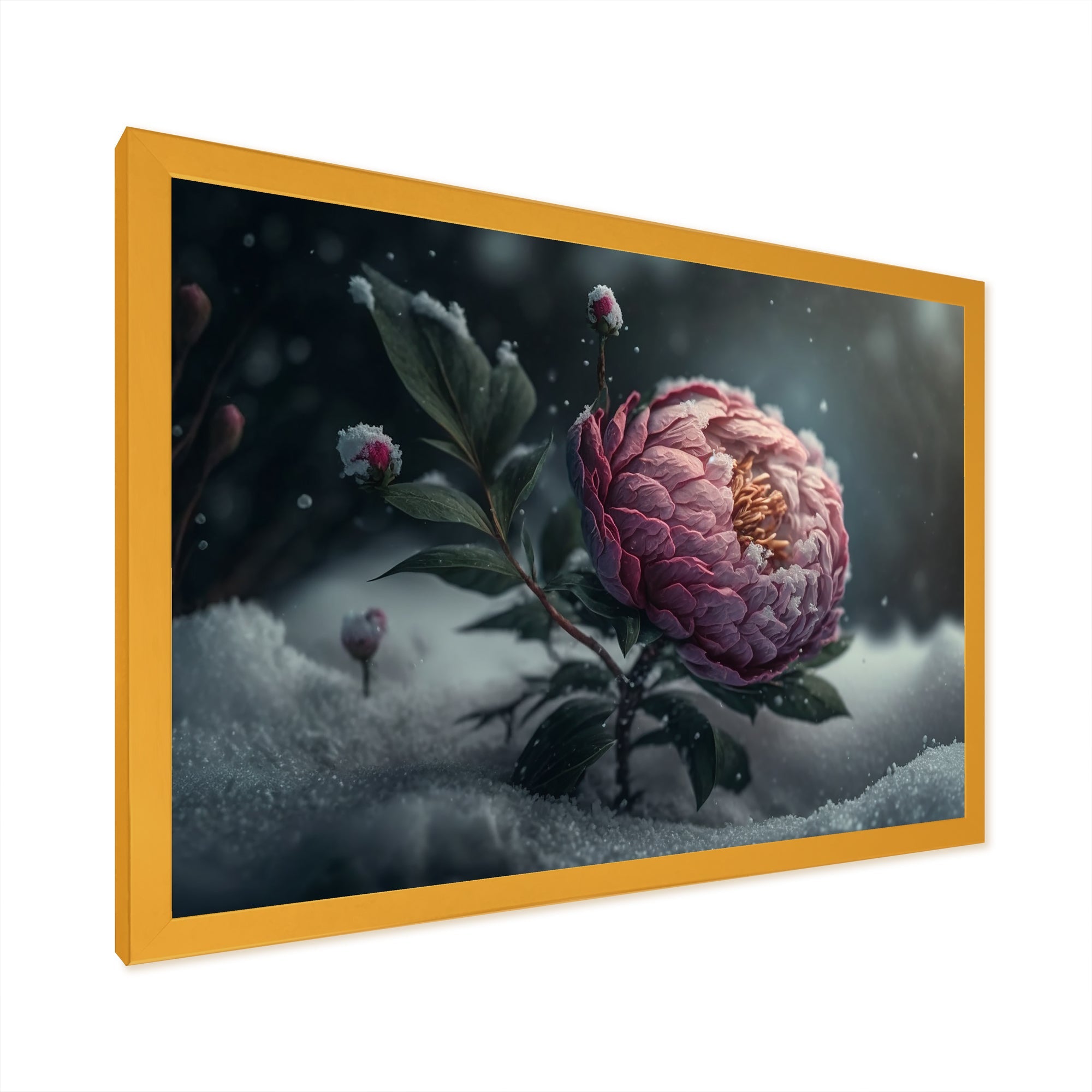 A Blooming Pink Peony Flower In Winter III Framed Print Vibrant Gold - 1.5Width