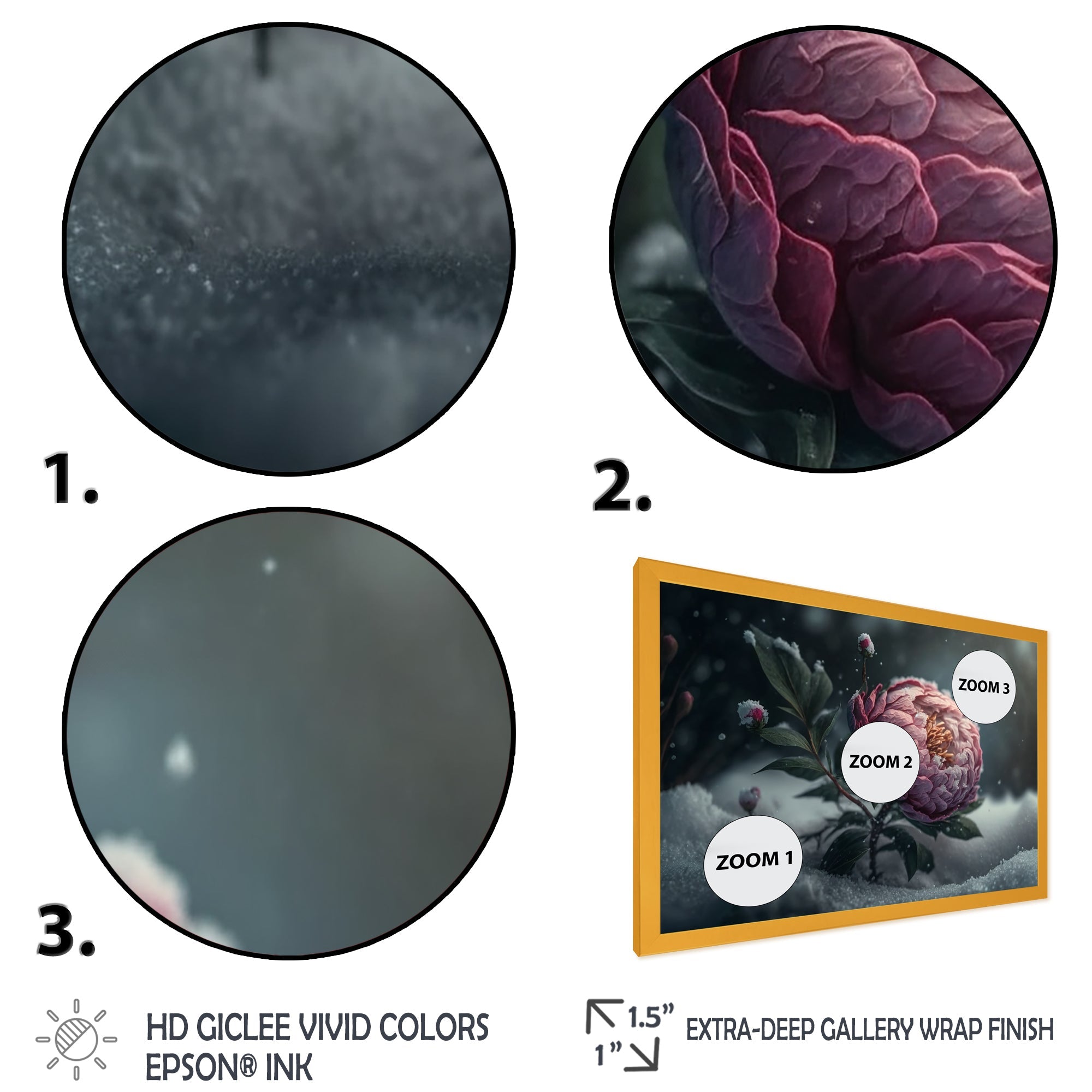 A Blooming Pink Peony Flower In Winter III Framed Print Vibrant Gold - 1.5Width