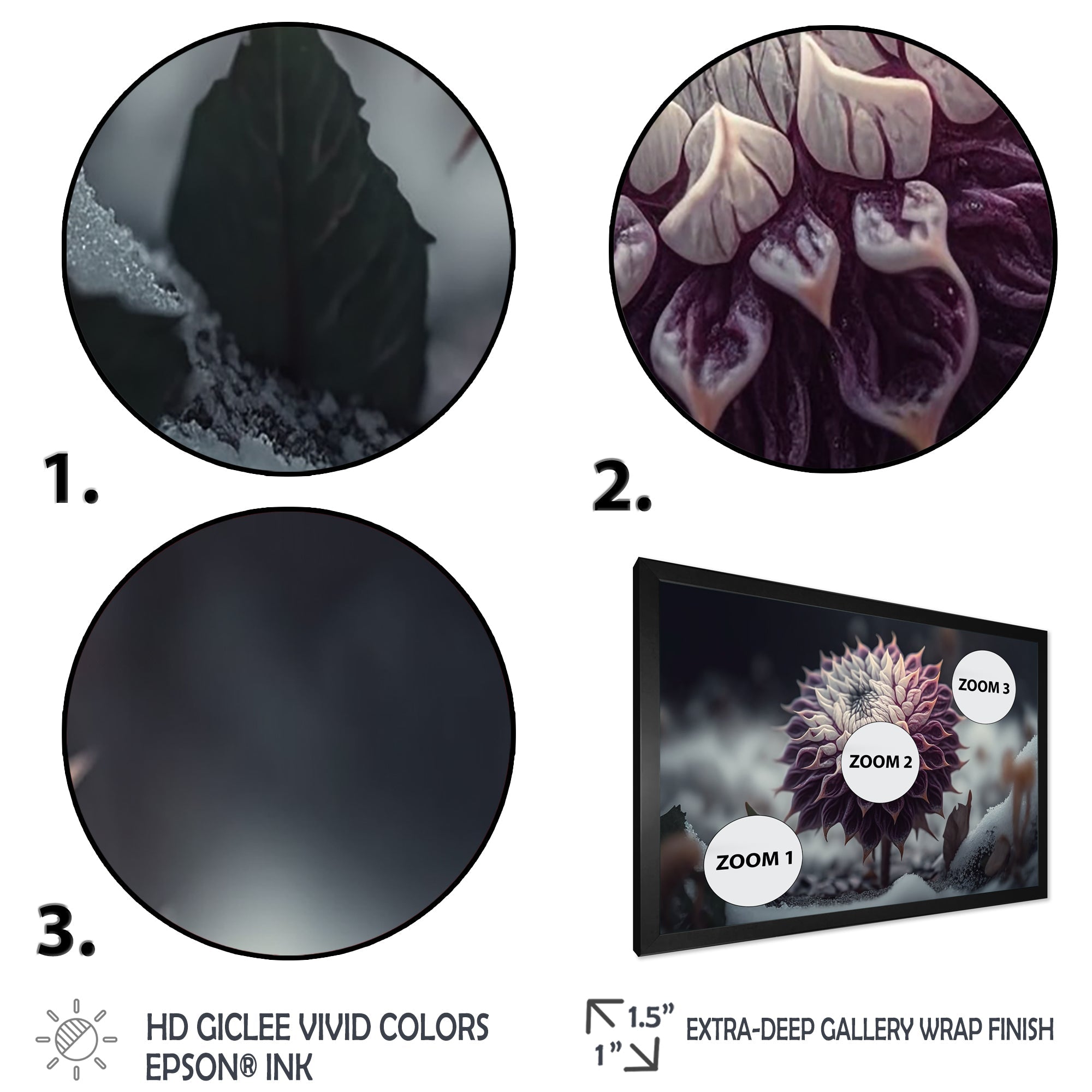 A Blooming Purple Dahlia Flower In Winter III Framed Print Vibrant Black - 1.5Width