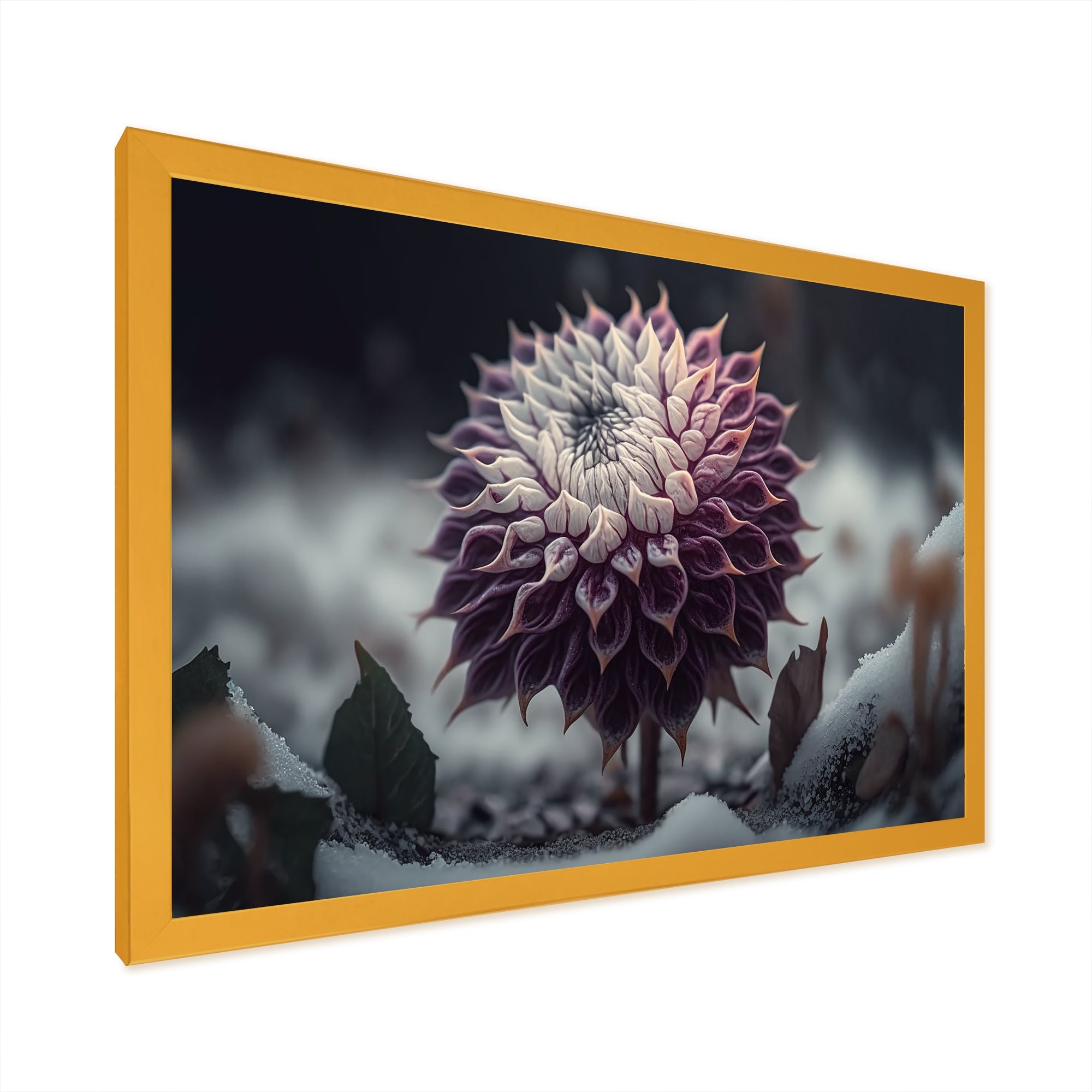 A Blooming Purple Dahlia Flower In Winter III Framed Print Vibrant Gold - 1.5Width