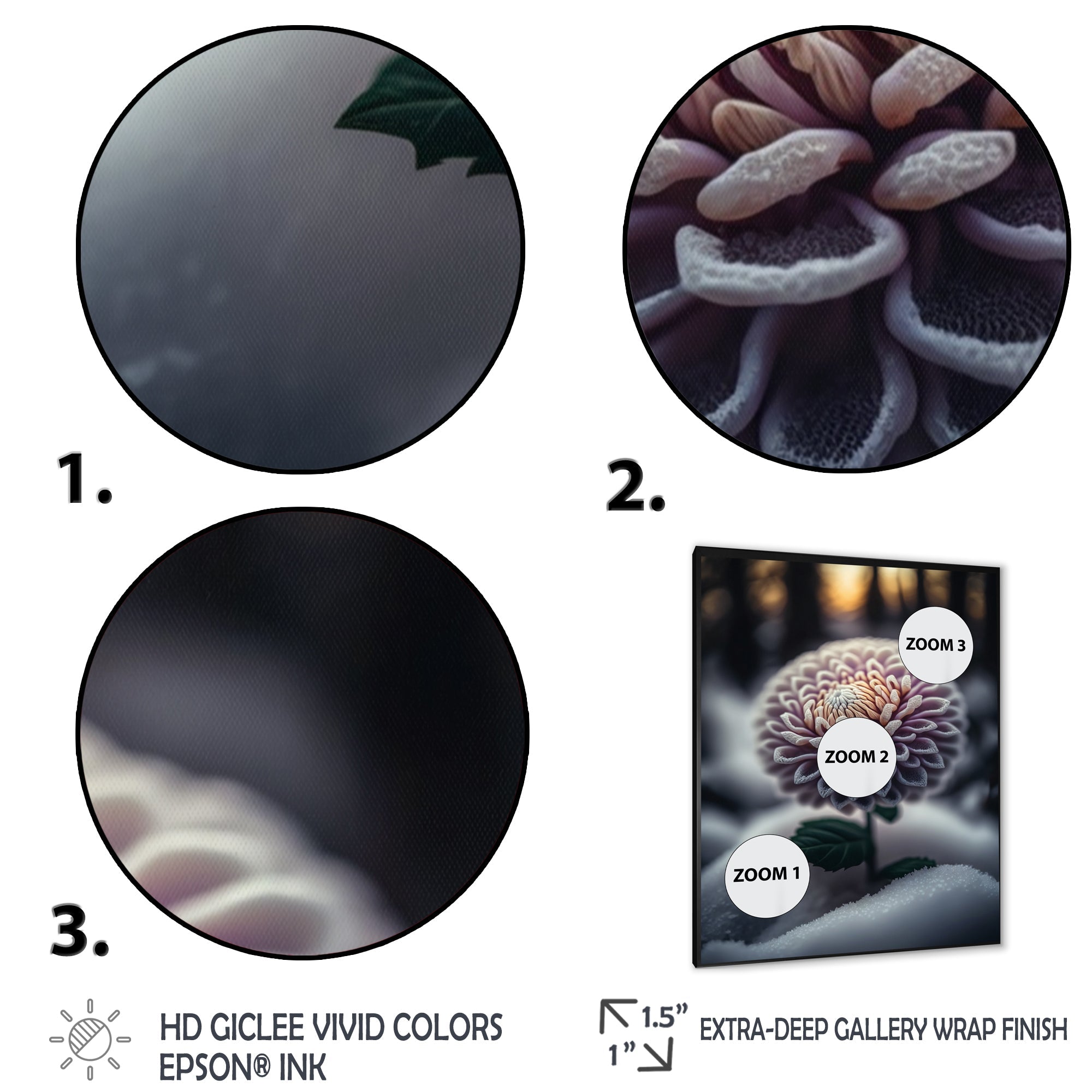 A Blooming Purple Dahlia Flower In Winter V Framed Print Vibrant Black - 1.5Width