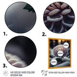 A Blooming Purple Dahlia Flower In Winter V Framed Print Vibrant Gold - 1.5Width