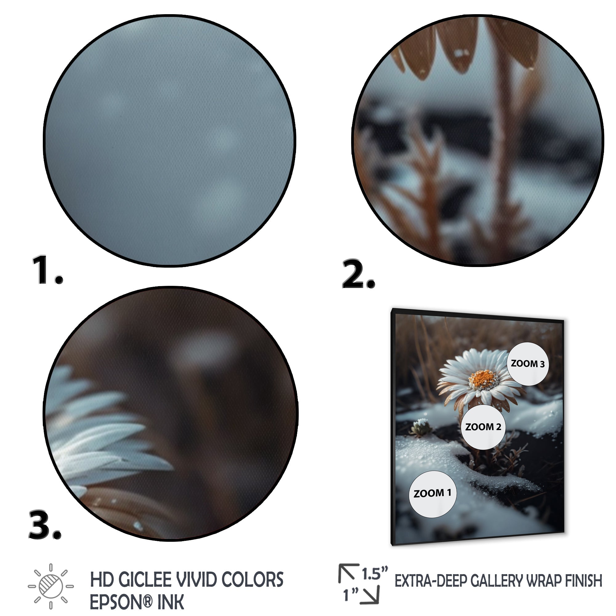 A Blooming White Daisy Flower In Winter Framed Print Vibrant Black - 1.5Width