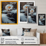 A Blooming White Daisy Flower In Winter Framed Print Vibrant Black - 1.5Width