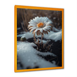 A Blooming White Daisy Flower In Winter Framed Print Vibrant Gold - 1.5Width