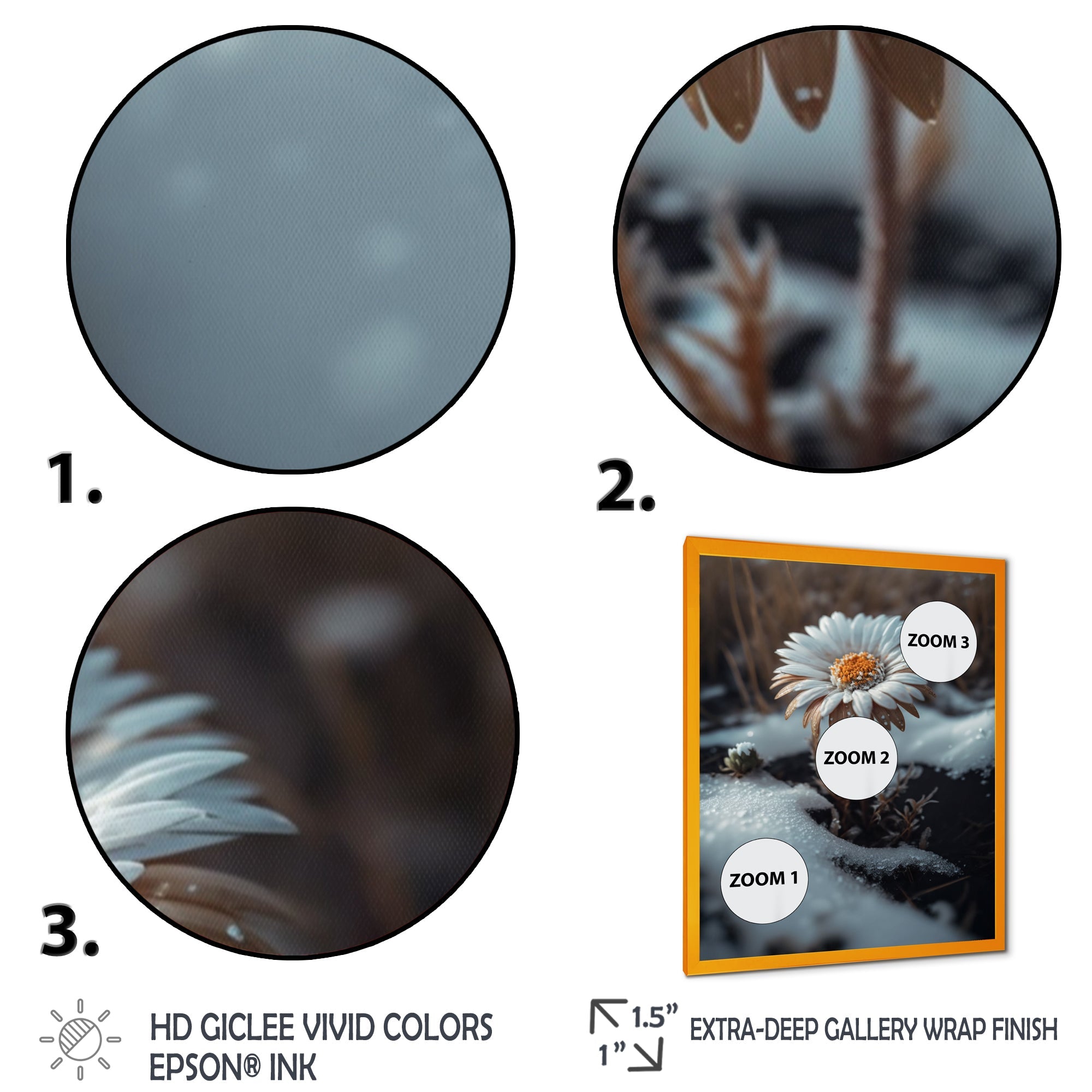 A Blooming White Daisy Flower In Winter Framed Print Vibrant Gold - 1.5Width