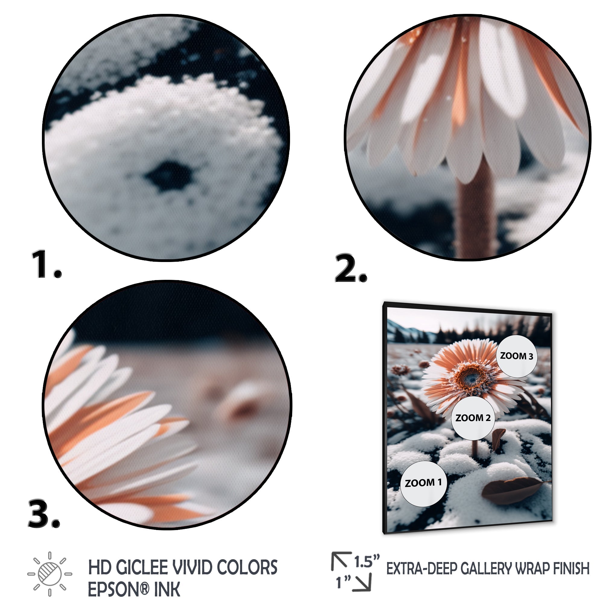 A Blooming White Gerbera Flower In Winter Framed Print Vibrant Black - 1.5Width