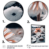 A Blooming White Gerbera Flower In Winter Framed Print Vibrant Black - 1.5Width