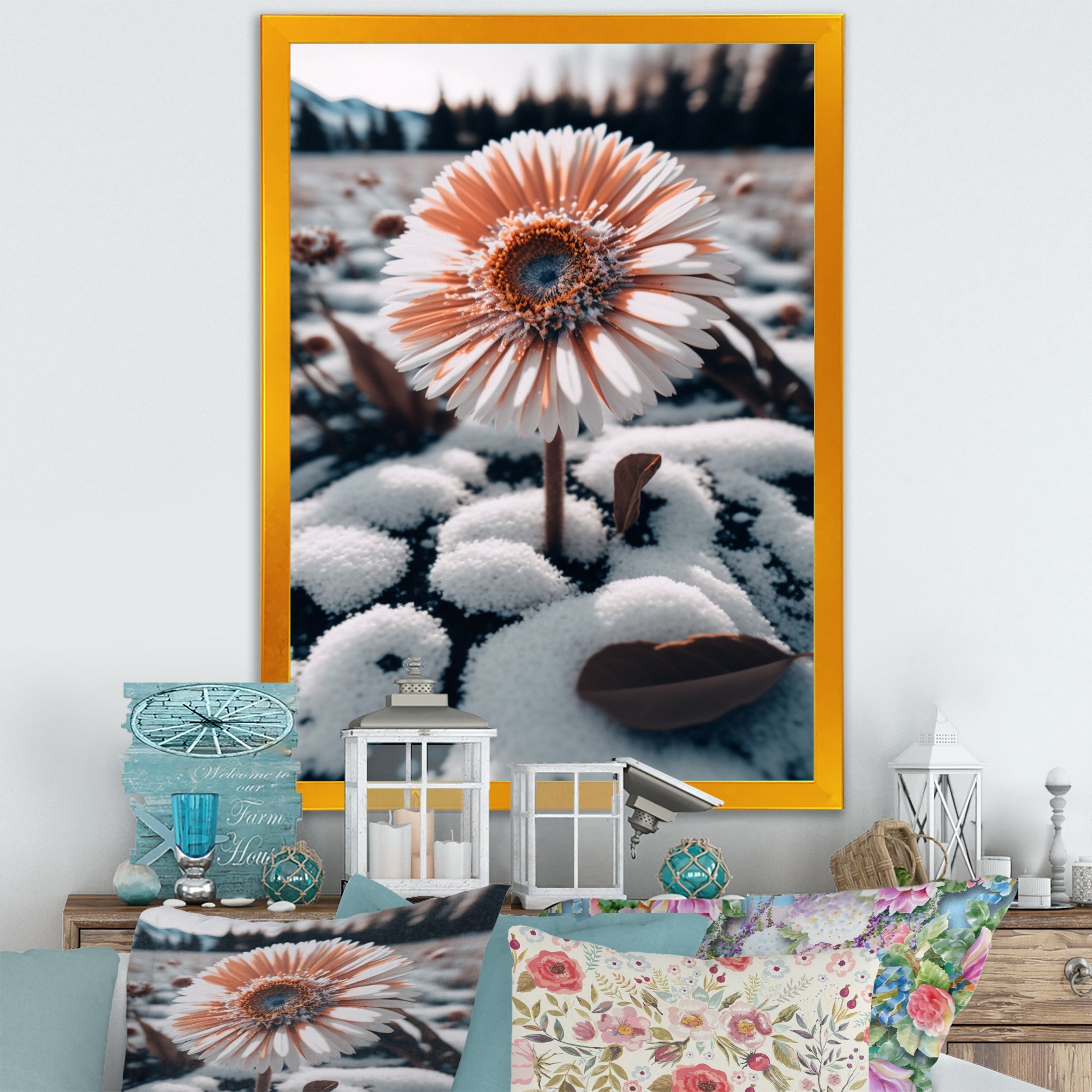 A Blooming White Gerbera Flower In Winter Framed Canvas Vibrant Black - 1.5Thick
