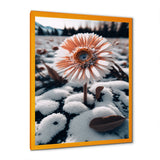 A Blooming White Gerbera Flower In Winter Framed Print Vibrant Gold - 1.5Width