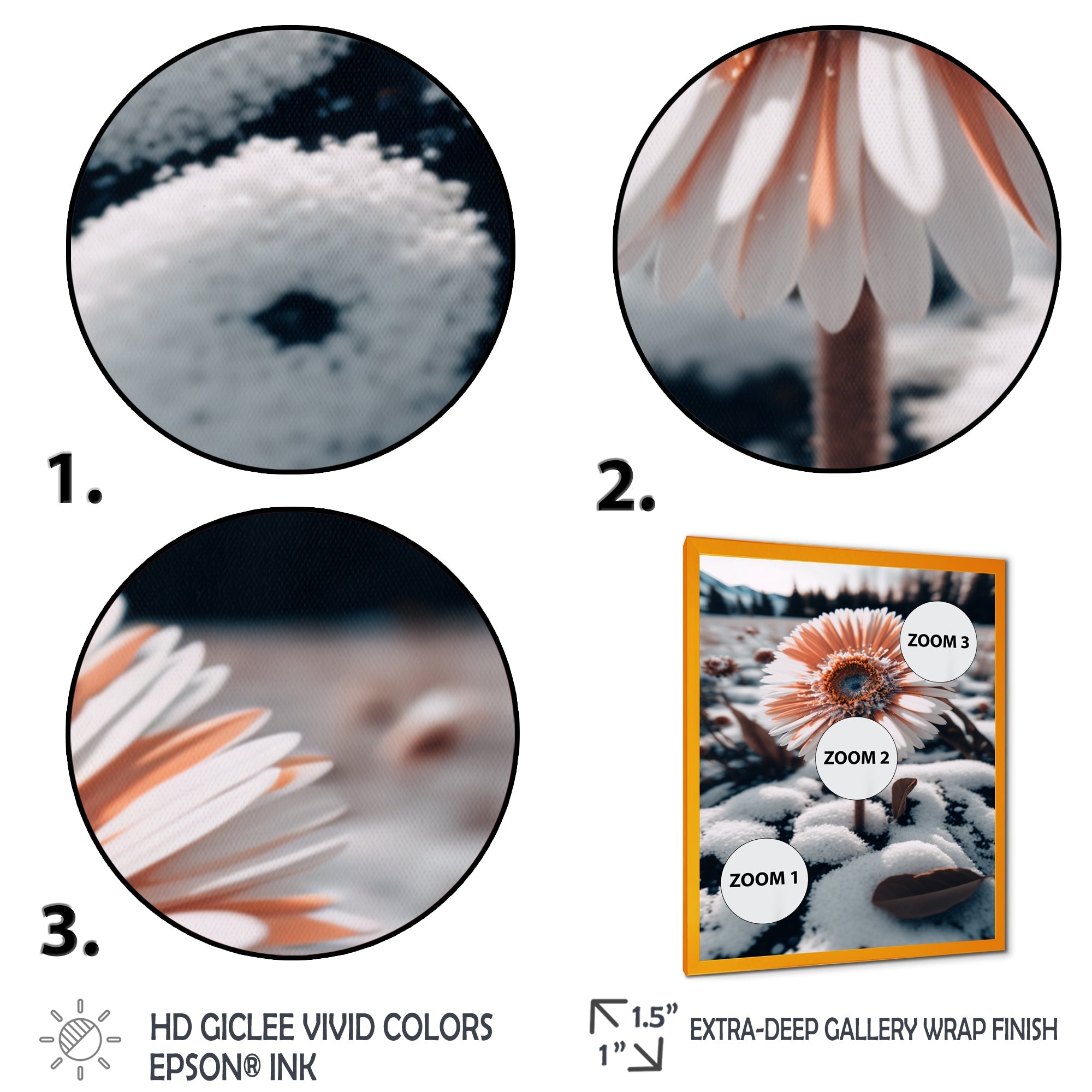 A Blooming White Gerbera Flower In Winter Framed Print Vibrant Gold - 1.5Width