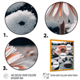 A Blooming White Gerbera Flower In Winter Framed Print Vibrant Gold - 1.5Width