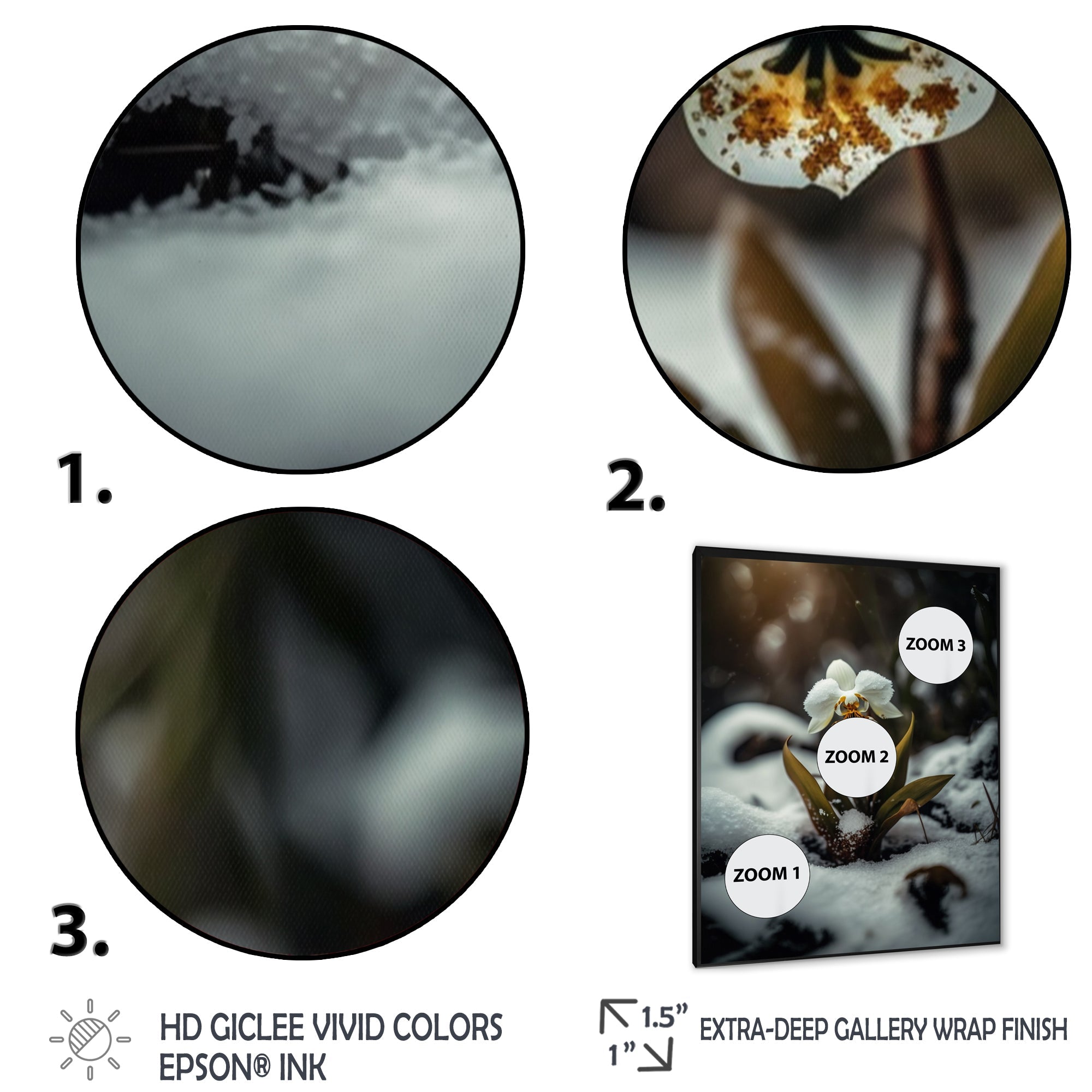 A Blooming White Orchid Flower In Winter II Framed Print Vibrant Black - 1.5Width