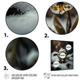 A Blooming White Orchid Flower In Winter II Framed Print Vibrant Black - 1.5Width