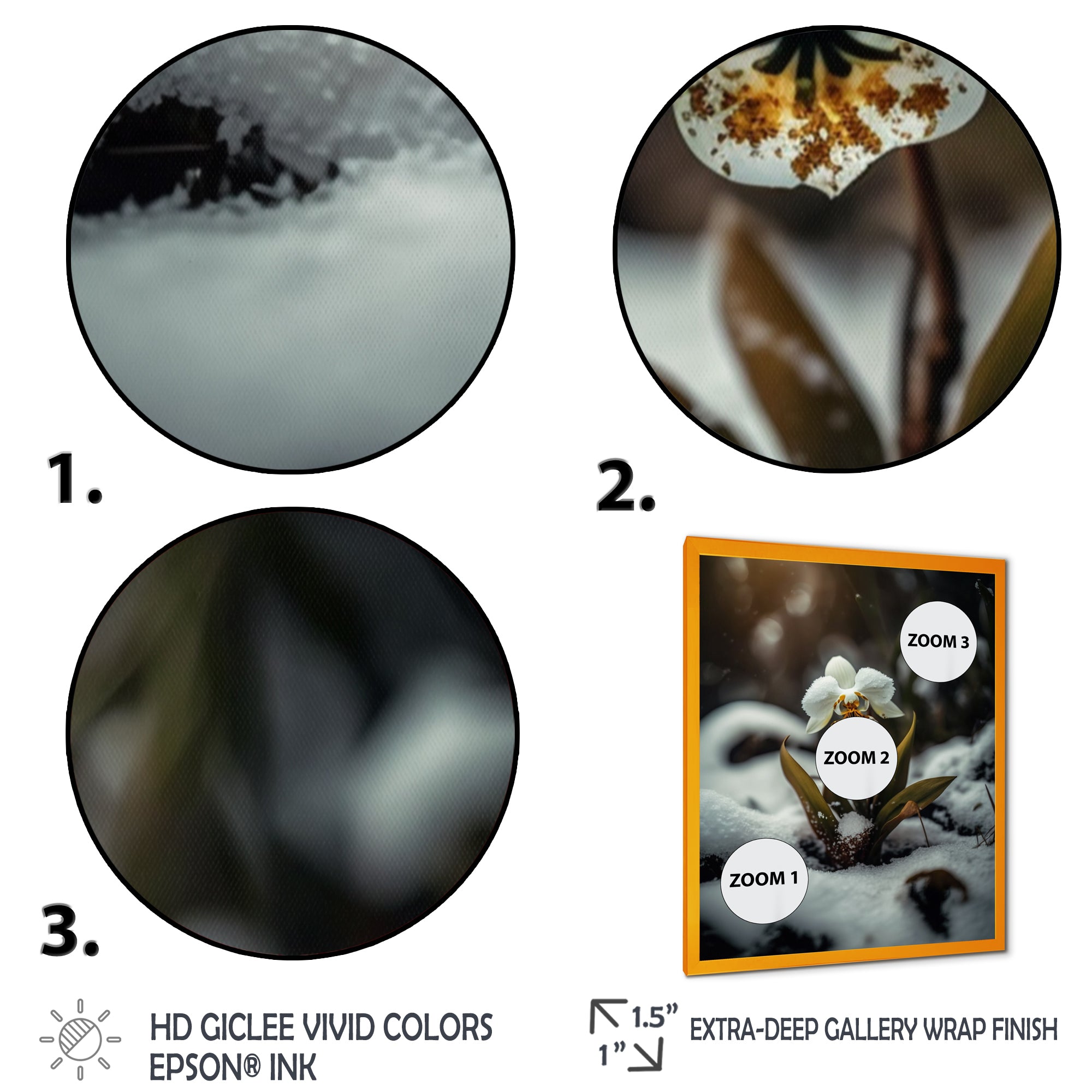 A Blooming White Orchid Flower In Winter II Framed Print Vibrant Gold - 1.5Width