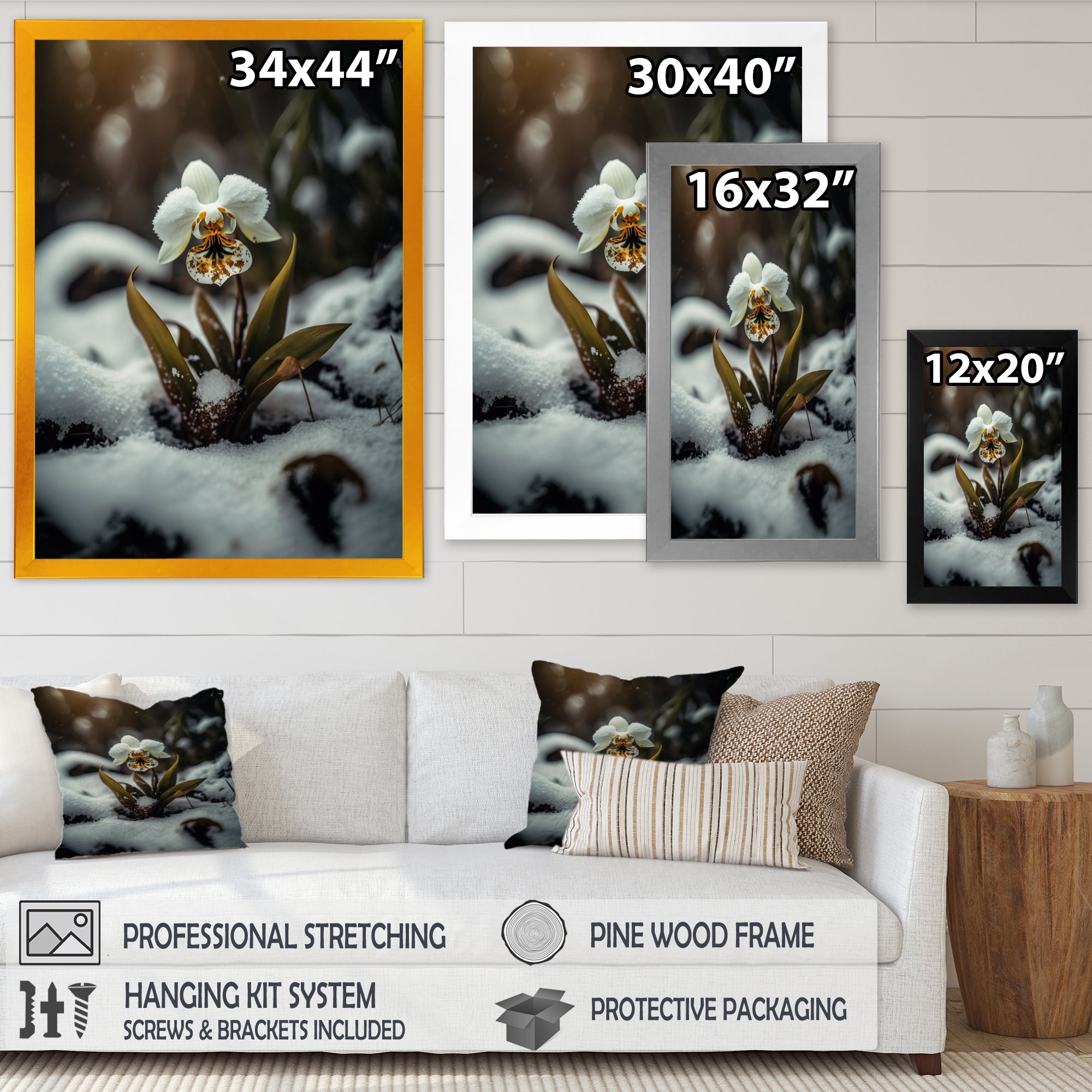 A Blooming White Orchid Flower In Winter II Framed Print Vibrant Gold - 1.5Width