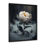 A Blooming White Peony Flower In Winter II Framed Print Vibrant Black - 1.5Width