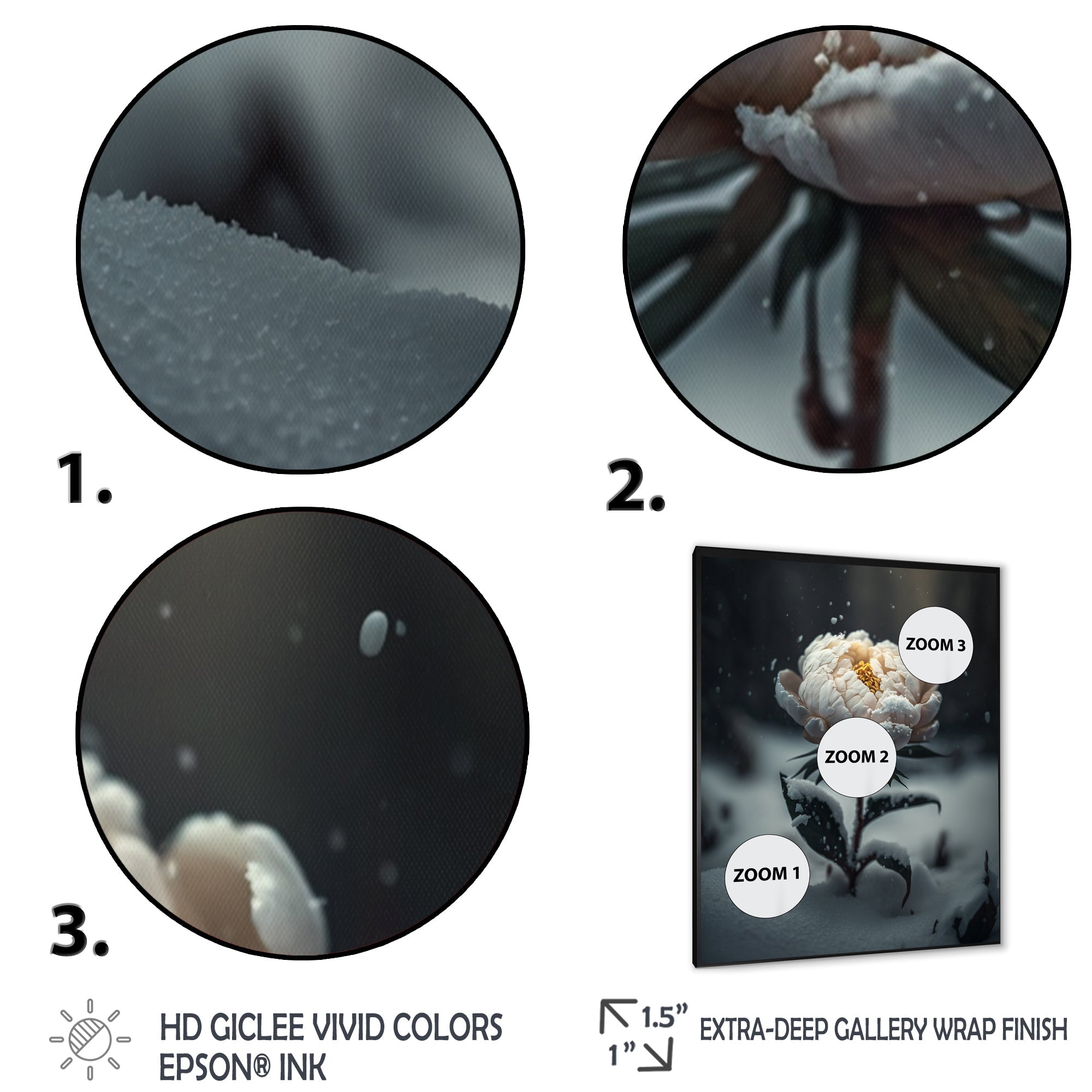 A Blooming White Peony Flower In Winter II Framed Print Vibrant Black - 1.5Width