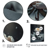 A Blooming White Peony Flower In Winter II Framed Print Vibrant Black - 1.5Width