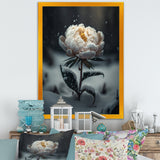 A Blooming White Peony Flower In Winter II Framed Canvas Vibrant Black - 1.5Thick