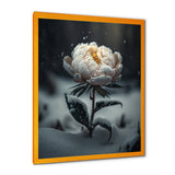 A Blooming White Peony Flower In Winter II Framed Print Vibrant Gold - 1.5Width