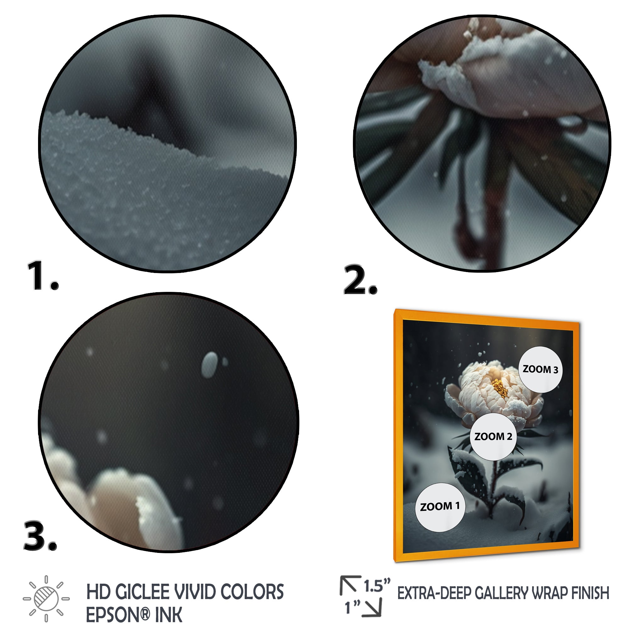 A Blooming White Peony Flower In Winter II Framed Print Vibrant Gold - 1.5Width