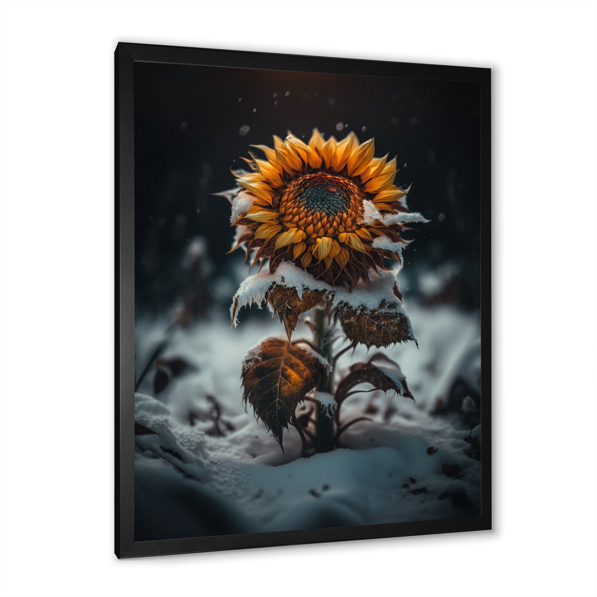 A Blooming Yellow And Orange Sunflower Winter I Framed Print Vibrant Black - 1.5Width
