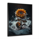 A Blooming Yellow And Orange Sunflower Winter I Framed Print Vibrant Black - 1.5Width