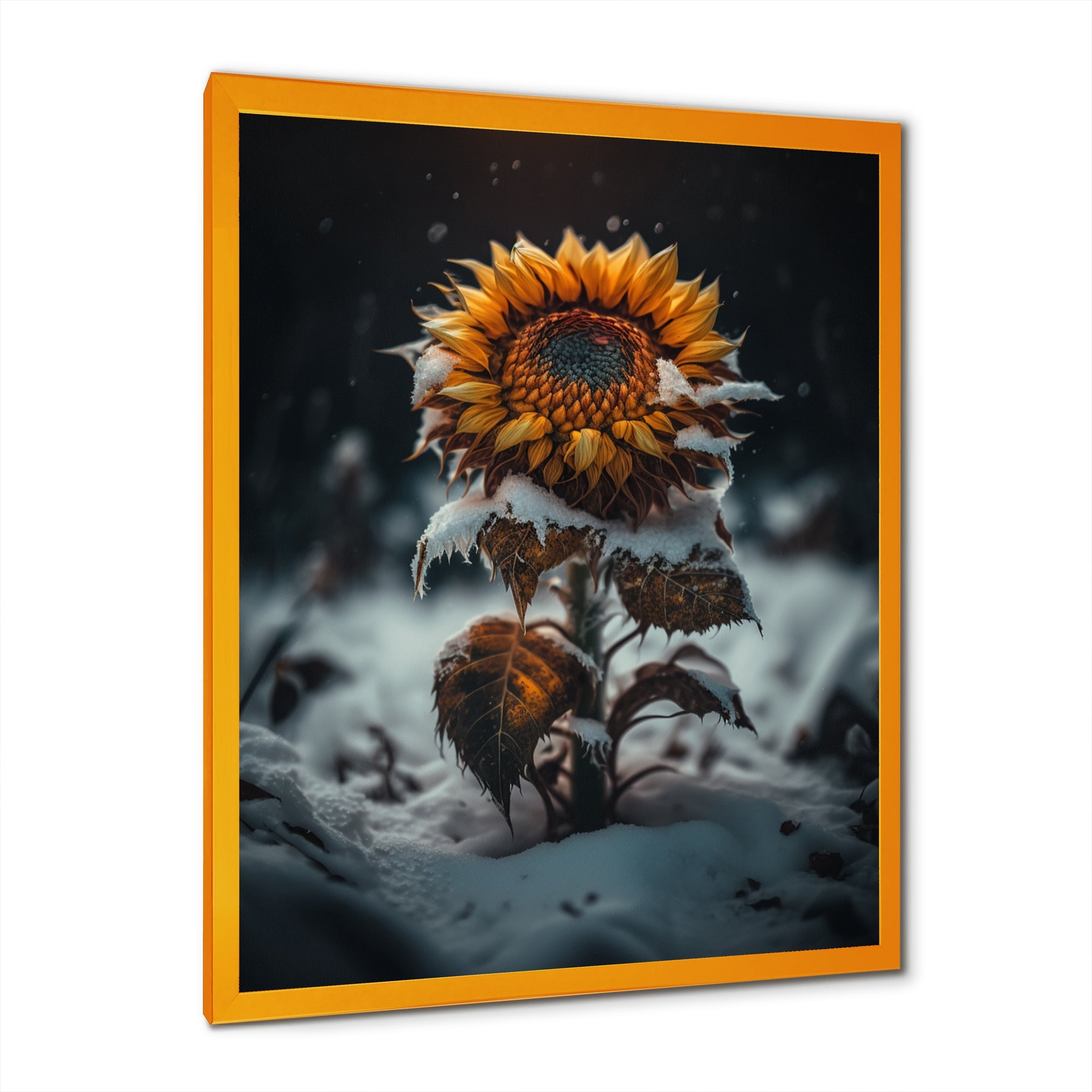 A Blooming Yellow And Orange Sunflower Winter I Framed Print Vibrant Gold - 1.5Width