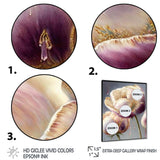 Cream And Purple Tulip II