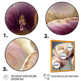 Cream And Purple Tulip II