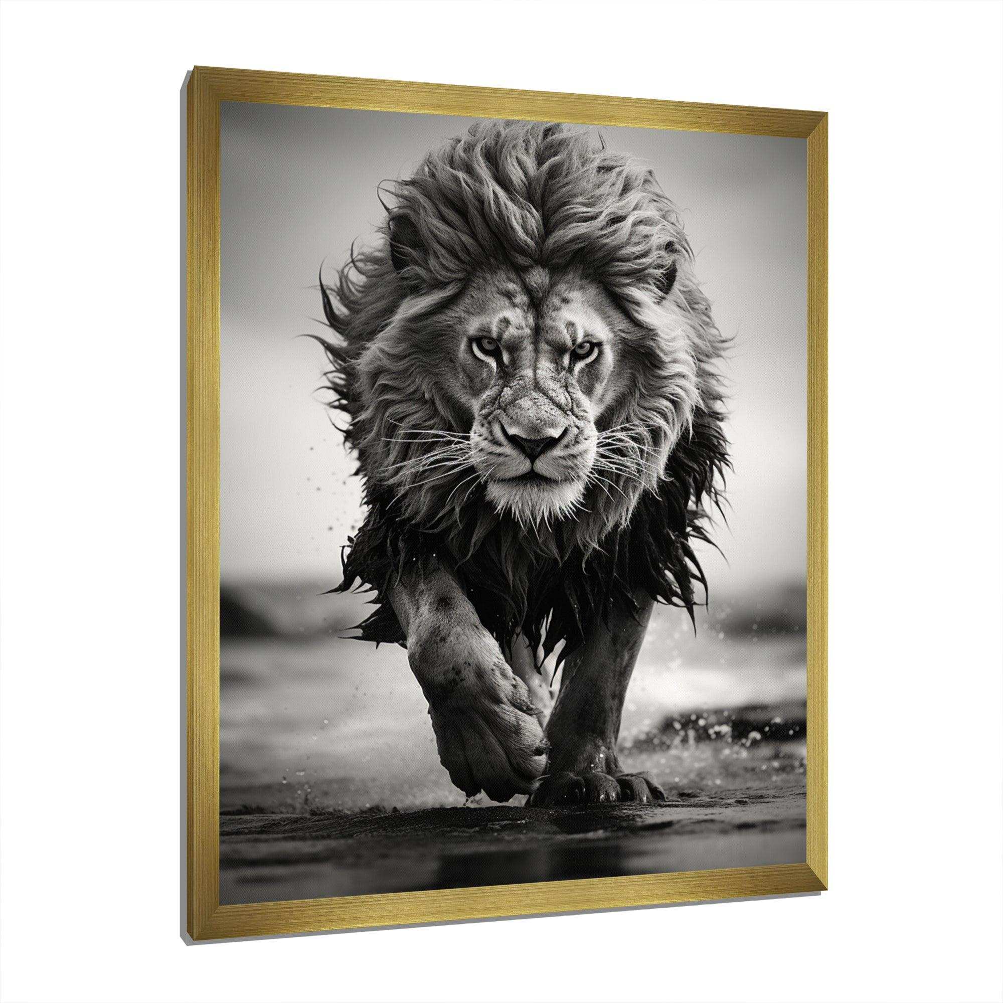 Black And White Lion Running In Africa - Animals Canvas Wall Art