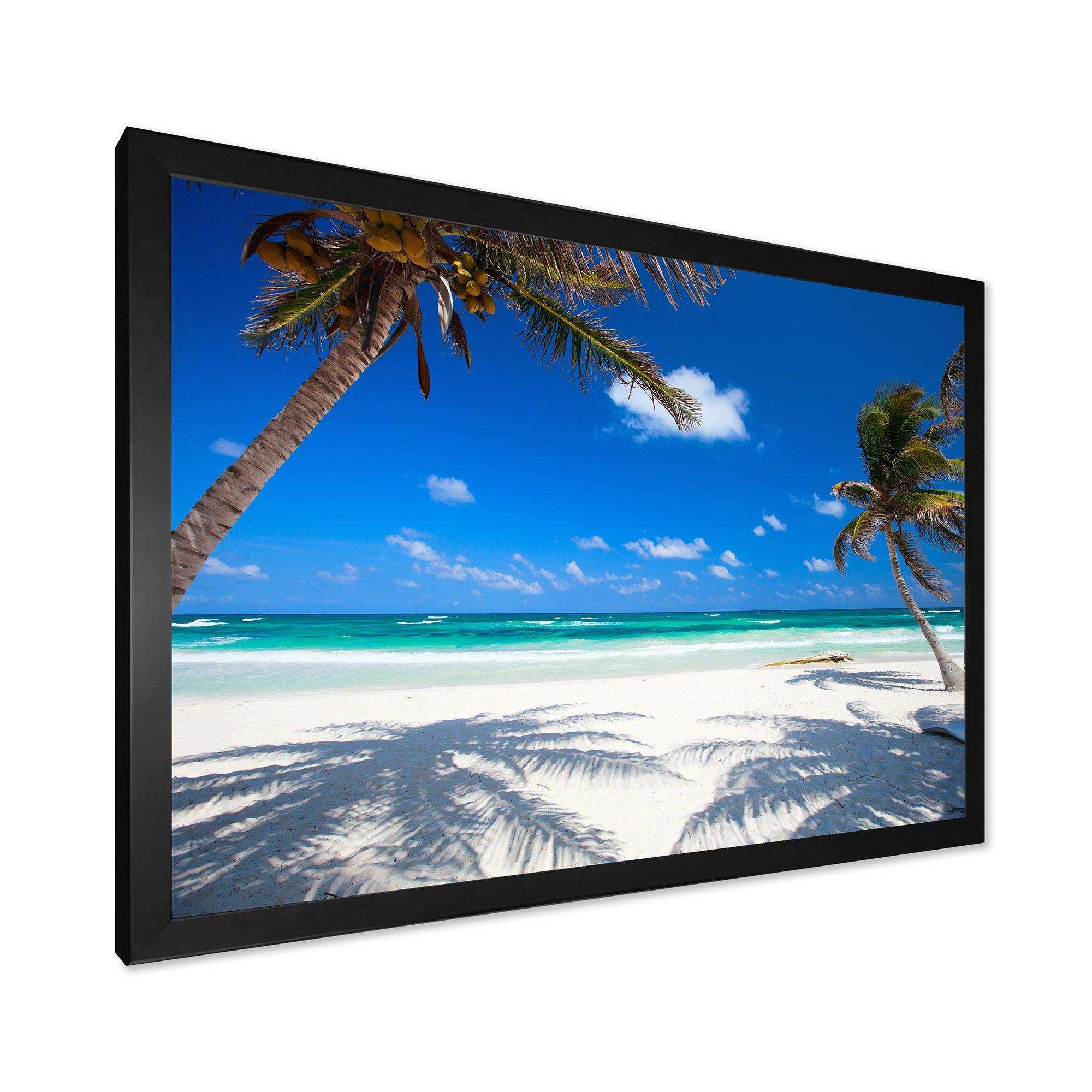 Coconut Palms at Beach