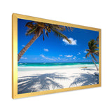 Coconut Palms at Beach