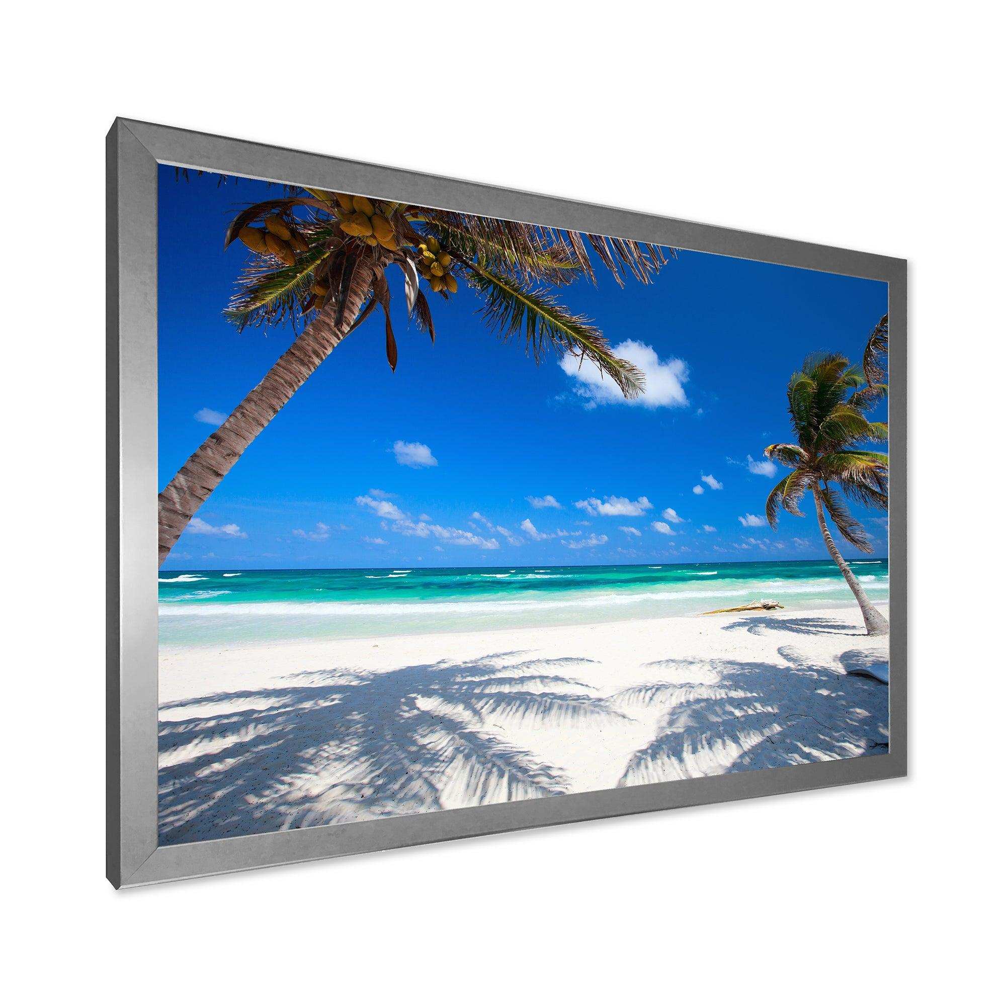 Coconut Palms at Beach