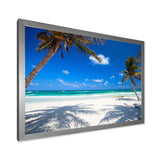 Coconut Palms at Beach