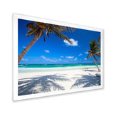 Coconut Palms at Beach