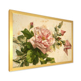 Pink Flower