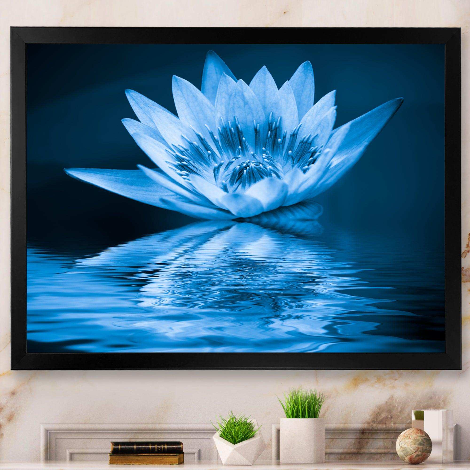 Blue Water Lily