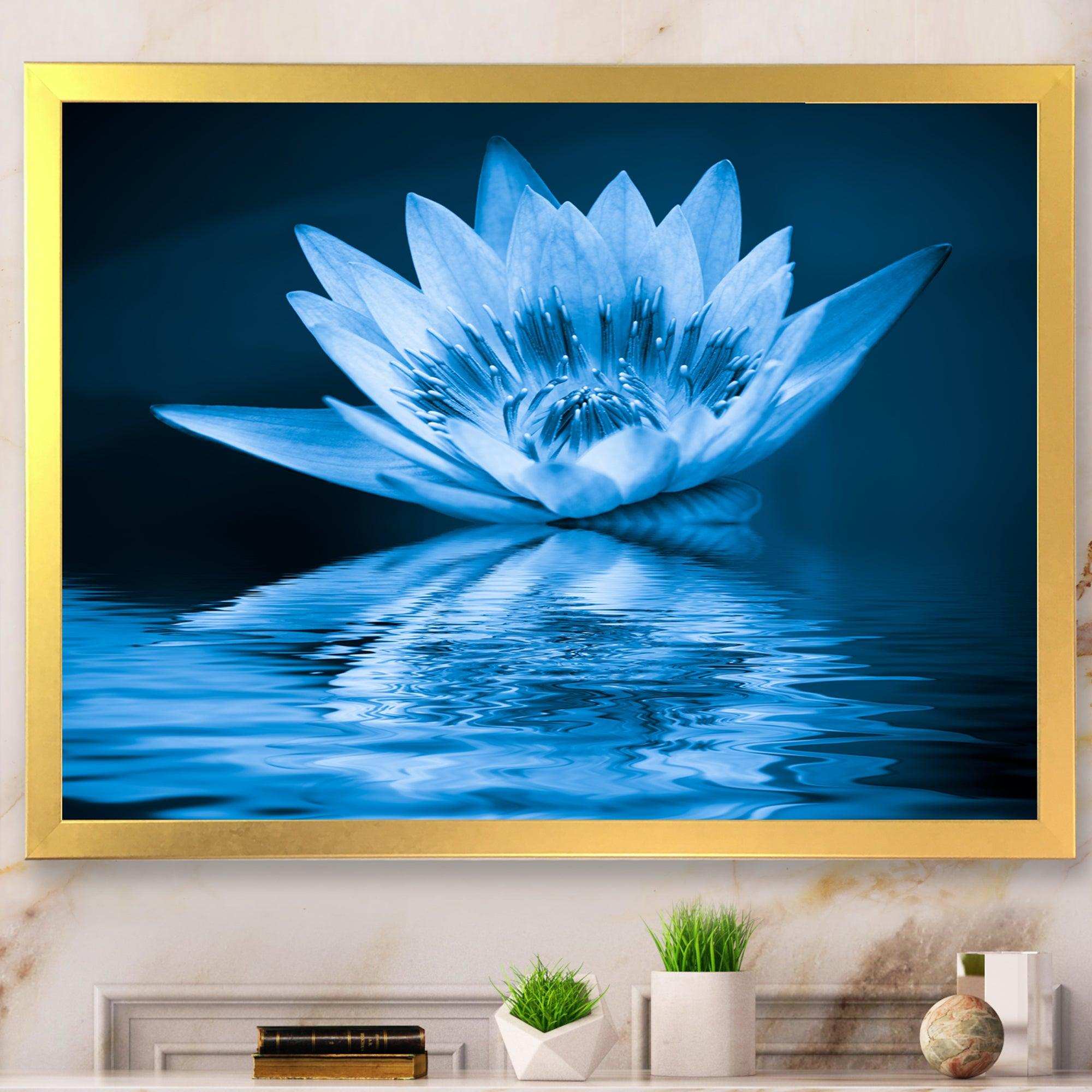 Blue Water Lily